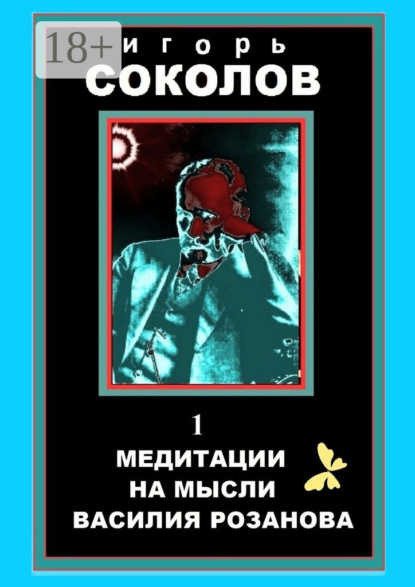 Скачать книгу Медитации на мысли Василия Розанова. Том 1