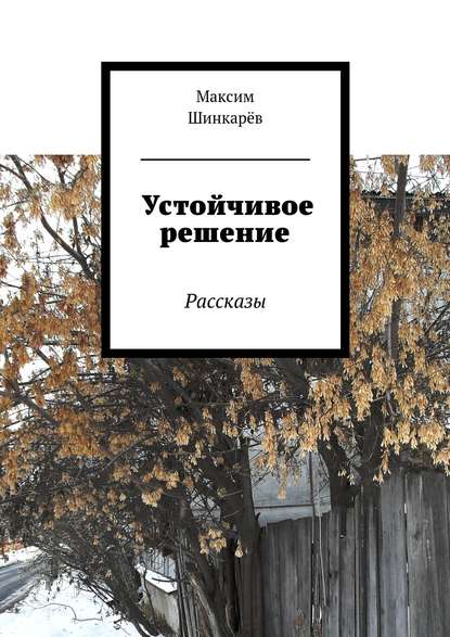 Скачать книгу Устойчивое решение