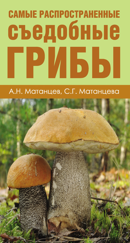 Скачать книгу Самые распространенные съедобные грибы