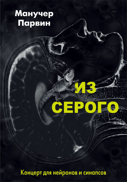 Скачать книгу Из серого. Концерт для нейронов и синапсов