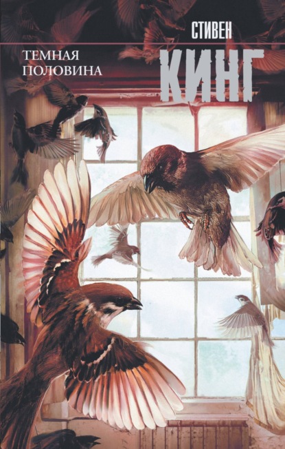 Скачать книгу Темная половина