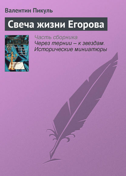 Скачать книгу Свеча жизни Егорова