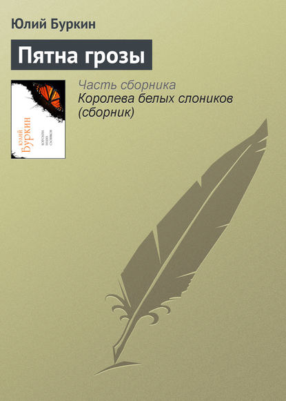 Скачать книгу Пятна грозы