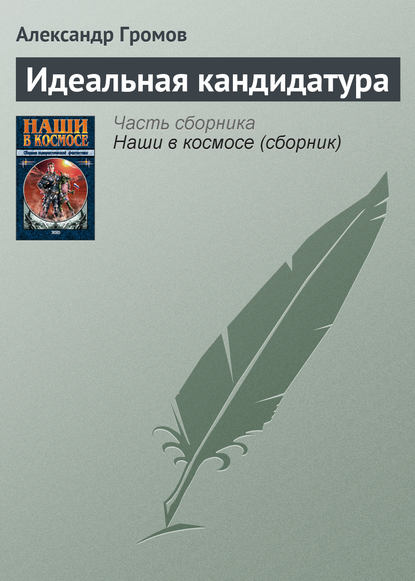 Скачать книгу Идеальная кандидатура