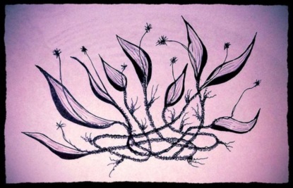 Скачать книгу Сказка о Лунных Цветах