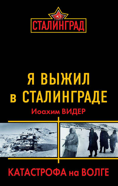 Скачать книгу Я выжил в Сталинграде. Катастрофа на Волге