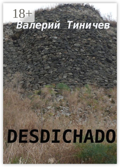 Скачать книгу Desdichado