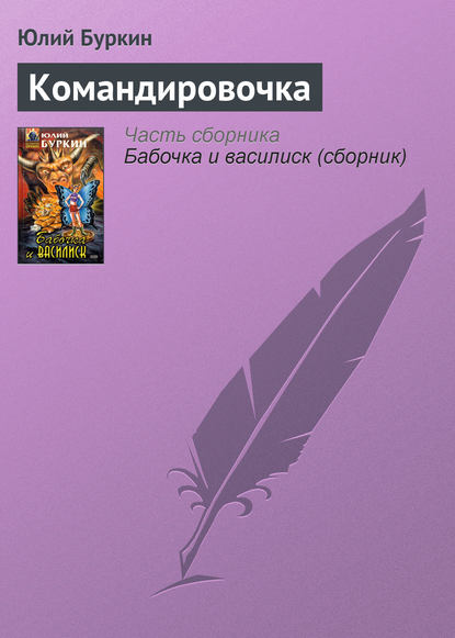 Скачать книгу Командировочка