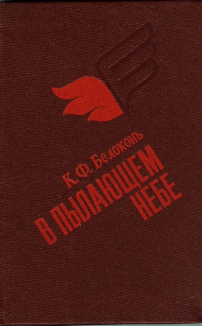 Скачать книгу В пылающем небе