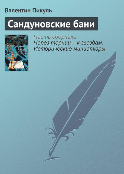 Скачать книгу Сандуновские бани