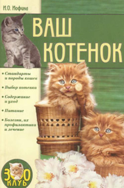 Ваш котенок