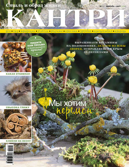 Скачать книгу Кантри. Стиль и образ жизни. №1/2016