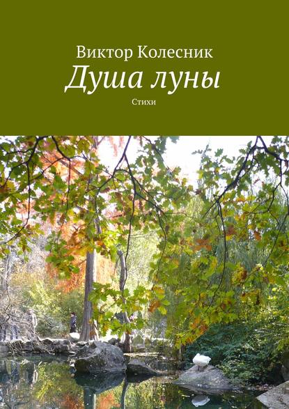 Скачать книгу Душа луны