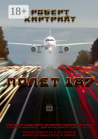 Скачать книгу Полёт 187. Из цикла рассказов «Приготовьтесь к безумию. Приготовьтесь к боли»