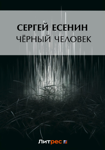 Скачать книгу Черный человек