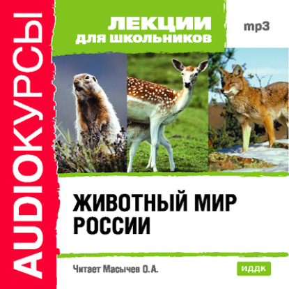 Скачать книгу Животный мир России