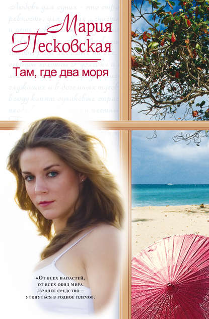 Скачать книгу Там, где два моря