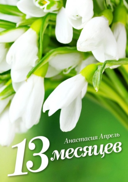 Скачать книгу 13 месяцев