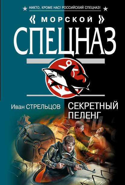 Скачать книгу Секретный пеленг