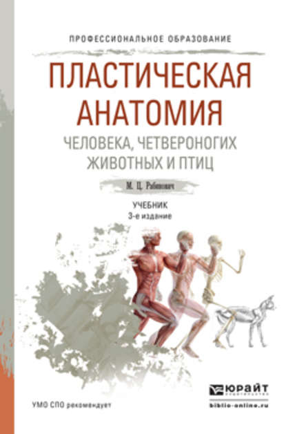 Скачать книгу Пластическая анатомия человека, четвероногих животных и птиц 3-е изд., испр. и доп. Учебник для СПО