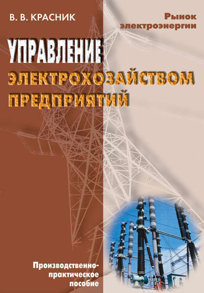 Скачать книгу Управление электрохозяйством предприятий