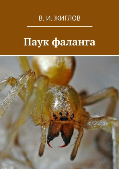 Скачать книгу Паук фаланга