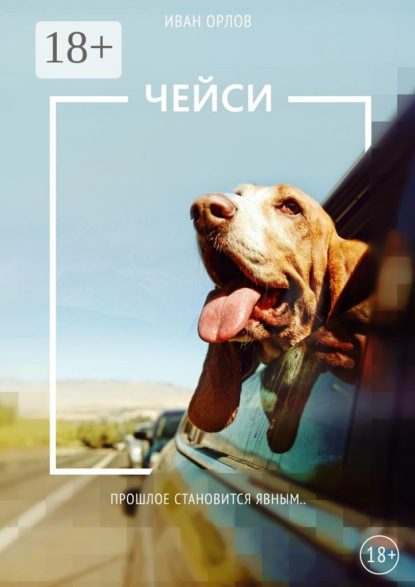 Скачать книгу Чейси. Прошлое становится явным…