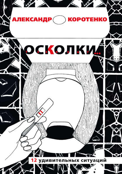 Скачать книгу Осколки. 12 удивительных ситуаций
