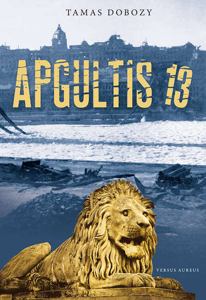 Скачать книгу Apgultis 13