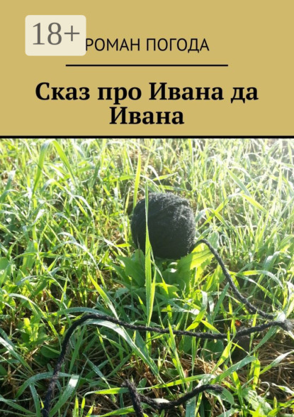 Скачать книгу Сказ про Ивана да Ивана