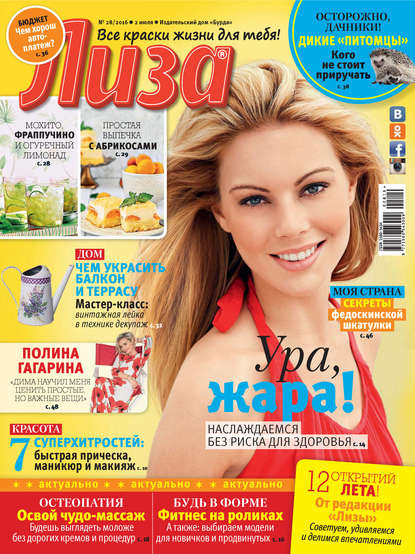 Скачать книгу Журнал «Лиза» №28/2016