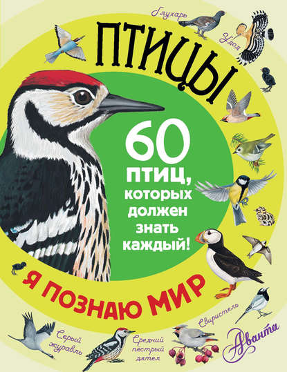 Скачать книгу Птицы. 60 птиц, которых должен знать каждый