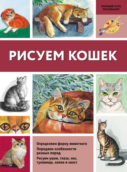 Скачать книгу Рисуем кошек