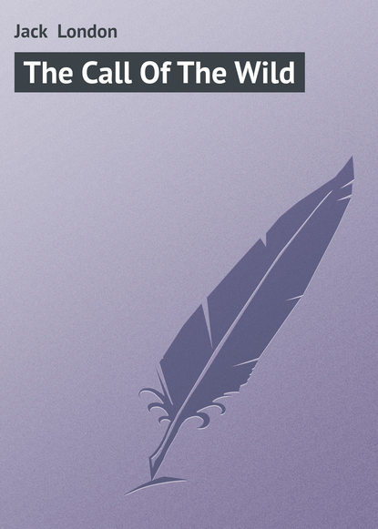 Скачать книгу The Call Of The Wild