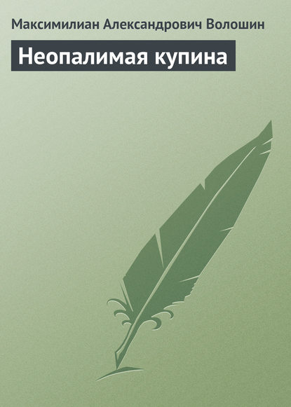 Скачать книгу Неопалимая купина
