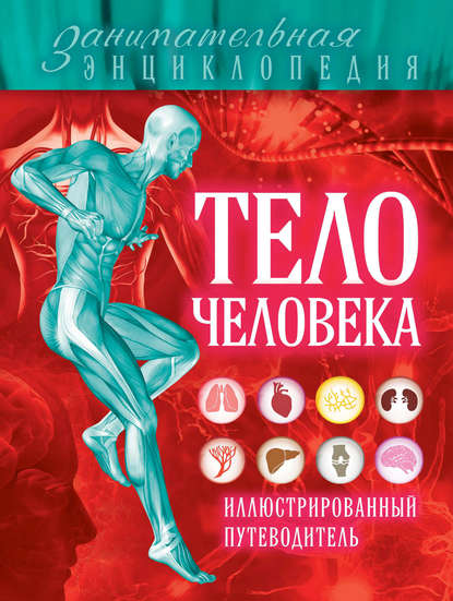 Скачать книгу Тело человека. Иллюстрированный путеводитель