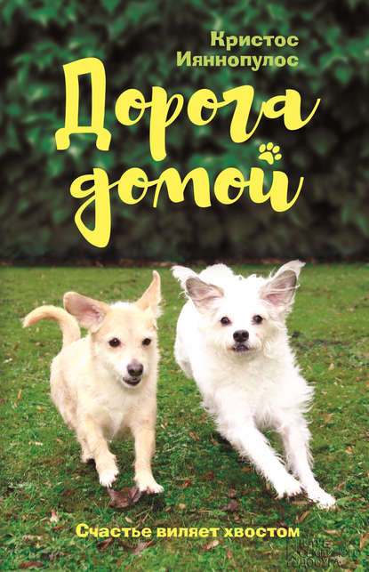 Скачать книгу Дорога домой