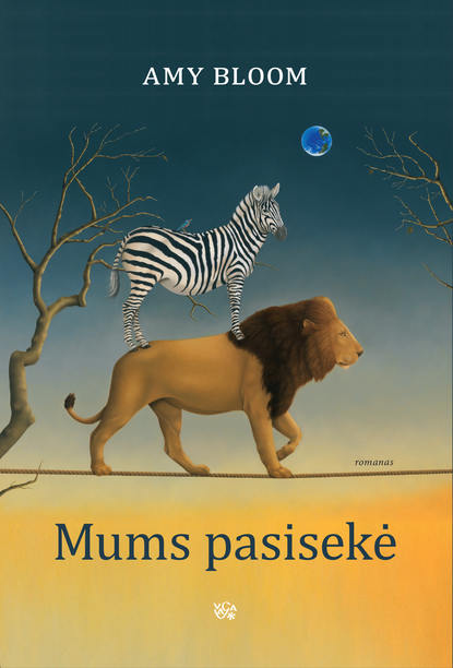 Скачать книгу Mums pasisekė