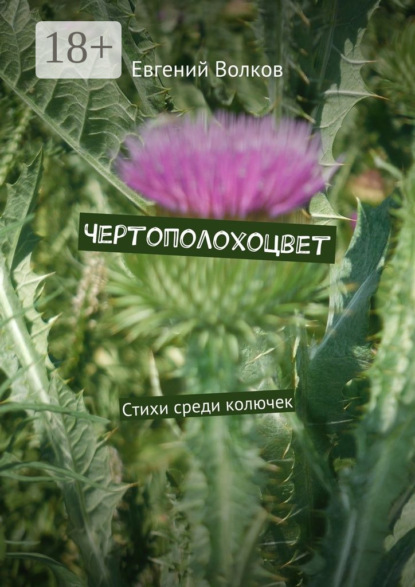 Скачать книгу Чертополохоцвет. Стихи среди колючек