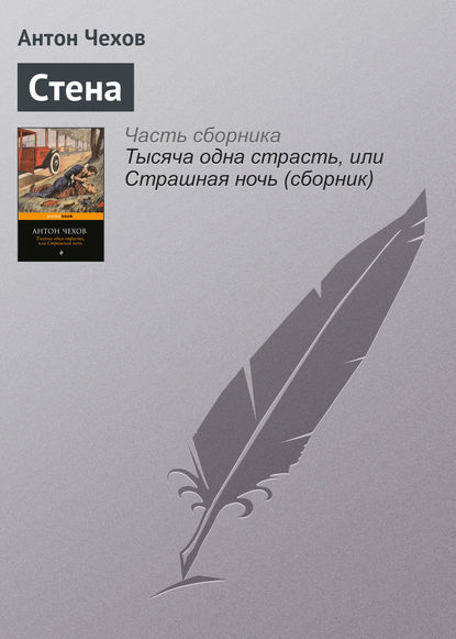 Скачать книгу Стена