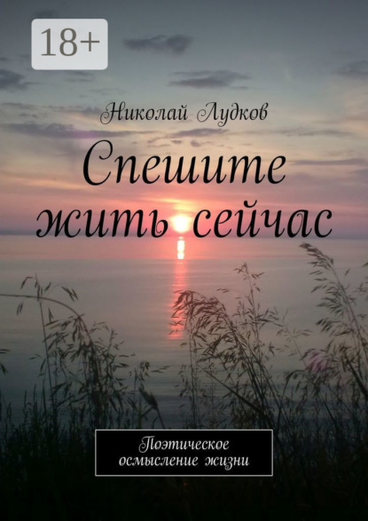 Скачать книгу Спешите жить сейчас. Поэтическое осмысление жизни
