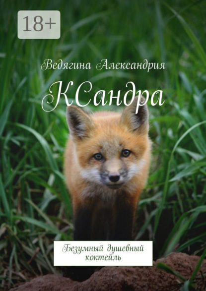 Скачать книгу КСандра. Безумный душевный коктейль