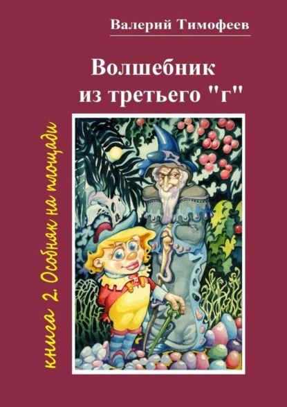 Скачать книгу Волшебник из третьего «г». Книга 2. Особняк на площади