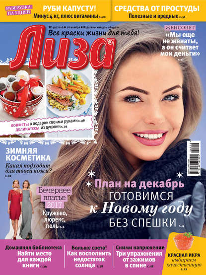 Скачать книгу Журнал «Лиза» №49/2016