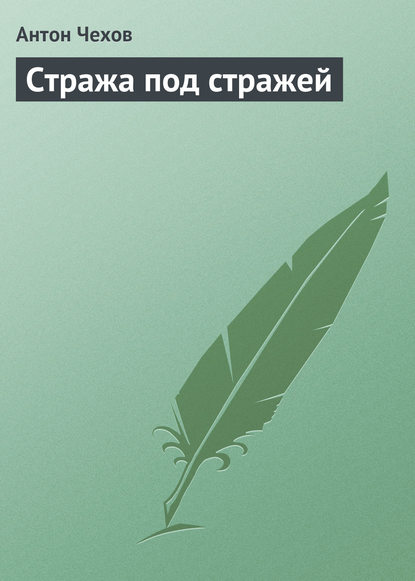 Скачать книгу Стража под стражей