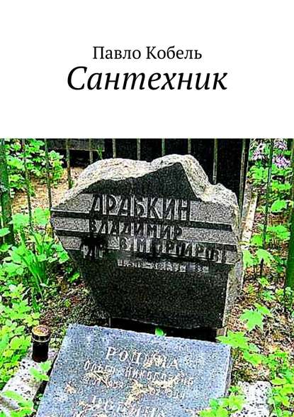 Скачать книгу Сантехник