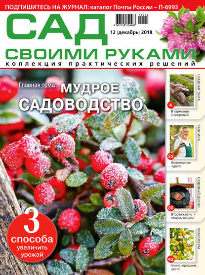 Скачать книгу Сад своими руками №12/2018