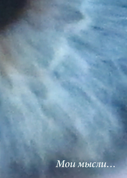 Скачать книгу Мои мысли