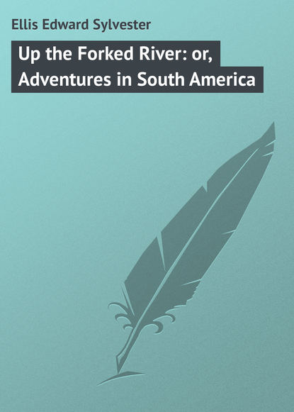 Скачать книгу Up the Forked River: or, Adventures in South America