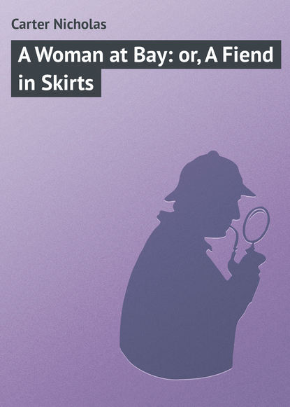 Скачать книгу A Woman at Bay: or, A Fiend in Skirts